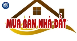 Tư vấn Hợp đồng mua bán nhà đất
