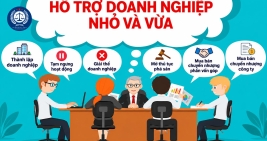 THÀNH LẬP DOANH NGHIỆP - LỰA CHỌN MÔ HÌNH PHÙ HỢP
