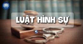 Tư vấn pháp luật hình sự