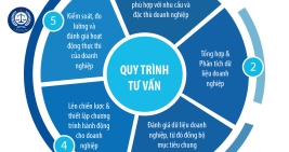 Tư vấn Luật doanh nghiệp tại Bình Dương